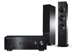 A-S501 + Tesi 6