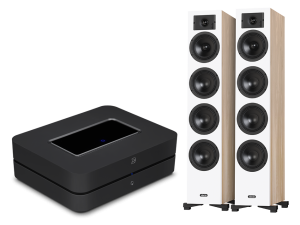 POWERNODE (czarny) + Diva 6 (dąb)