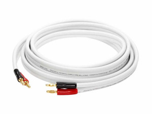 CBV130016 (5 m)