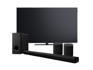 WE.SEE.OLED55 (czarmy) + SR-X50A (czarny) + 2 x WSX1A (czarny)