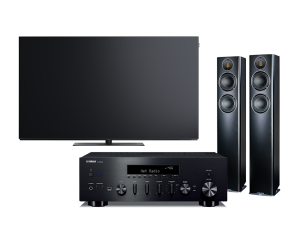 WE.SEE.OLED65 (czarny) + RN600A/CARINA FS247.4 (czarny)