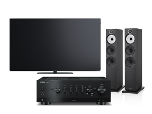 WE.SEE.OLED65 (czarny) + RN800A (czarny) + 603 S3 (czarny)