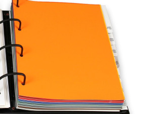 RAL K4 Ringbuch DIN A4