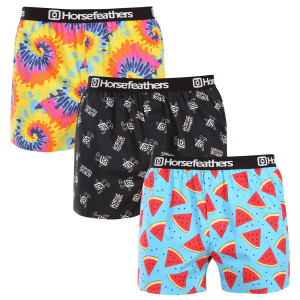 3PACK pánské trenky Horsefeathers Frazier Bundle 8 (AM096K) XL
