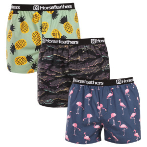 3PACK pánské trenky Horsefeathers Frazier Bundle 9 (AM096L) XL
