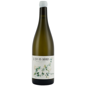 Clos des Muriers 2023 - Domaine Dupré Goujon
