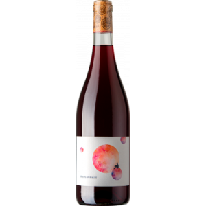 Chateau de Caraguilhes - Noctambule 2023 - Vin de France - Rotwein - 0.75L