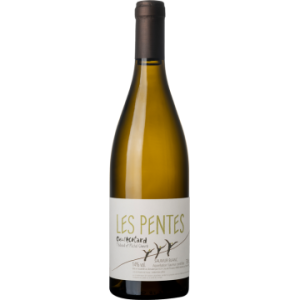 Clos de l'Ecotard - Les Pentes 2021 - Saumur - Weisswein - 0.75L
