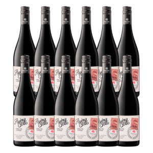 Flying Solo Rouge 2024 - Domaine Gayda - Offre 11 + 1