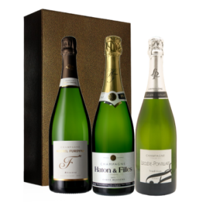Vinatis Geschenkset - Winzer-Champagner - 3 Fl.