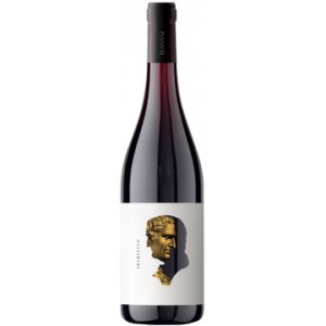 Teanum - Otre Primitivo 2024 - Puglia - Rotwein - 0.75L