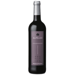 Rouge 2023 - Domaine de Valdition