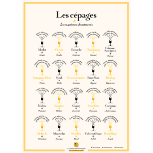 La Carte des Vins s'il vous plaît Poster - Rebsorten & ihre dominanten Aromen