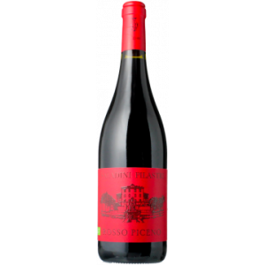 Saladini Pilastri - Rosso Piceno 2024 - Rosso Piceno - Rotwein - 0.75L