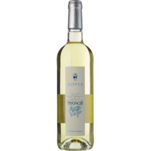 Muscat de Rivesaltes 2025 - Domaine Semper