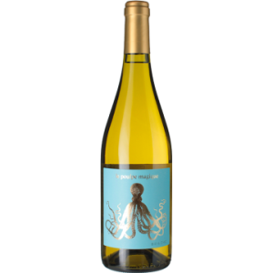 Famille Arbeau - Le Poulpe Magique 2023 - Comté Tolosan - Weisswein - 0.75L