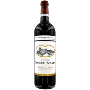 Château Chasse-Spleen - Château de Chasse-Spleen 2010 - Moulis - Rotwein - 0.75L