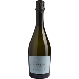 Spumante Extra Dry - Cuvée Blanc de blancs - Luca Ricci