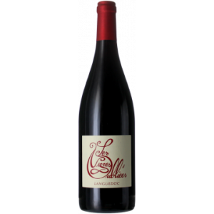 Les Vignes Oubliées - Jean-Baptiste Granier Autour du Cinsault 2025 - Les Vignes Oubliées