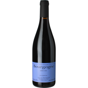 Domaine Sylvain Pataille - Bourgogne 2023 - Bourgogne - Rotwein - 0.75L