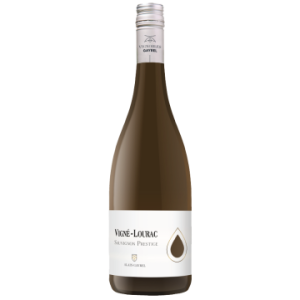 Sauvignon Prestige 2025 - Vigné-Lourac