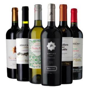 Vinatis Weinpaket -Best of Argentinien & Chile - 6 Fl.