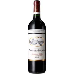 Château Chasse-Spleen - Château de Chasse-Spleen 2021 - Moulis - Rotwein - 0.75L
