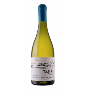 Viña Ventisquero Tara - White Wine N°3 Sauvignon Blanc 2022 - Atacama - Weisswein - 0.75L