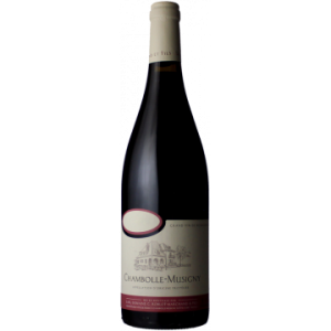 Domaine Roblot Marchand - Chambolle Musigny Omaine Roblot Marchand & Fils 2022 - Chambolle-Musigny - Rotwein - 0.75L