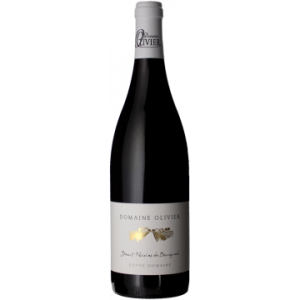 Domaine Olivier - Cuvée Domaine 2023 - St Nicolas de Bourgueil - Rotwein - 0.75L