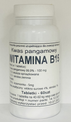 Witamina B 15 Kwas pangamowy 60 tabletek Podkowa