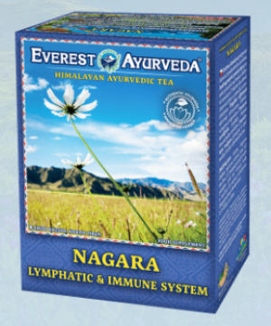 Herbata NAGARA 100g Everest Ayurveda