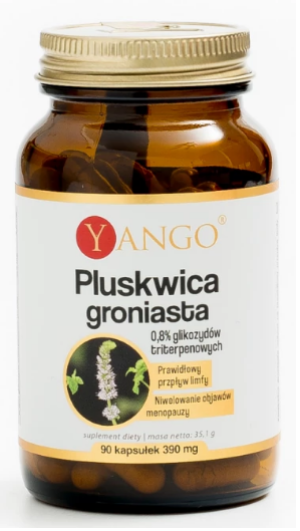 Pluskwica groniasta 90 kapsułek YANGO