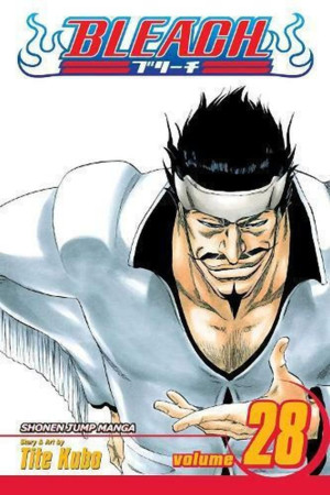 Viz Bleach GN Vol. 28 (Curr PTG) Paperback Manga