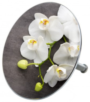 WCShop24 Badewannenstöpsel Pretty