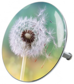 WCShop24 Badewannenstöpsel Pusteblume