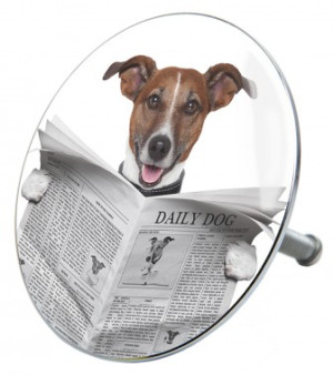 WCShop24 Badewannenstöpsel Newspaper