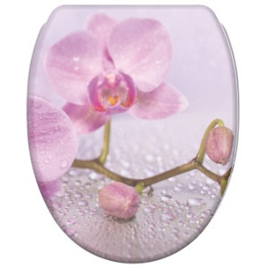 WCShop24 WC-Sitz mit Absenkautomatik und Schnellverschluss Blooming - Premium Toilettendeckel direkt vom Hersteller