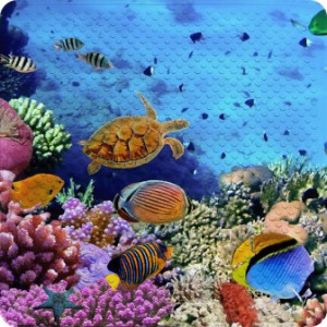 WCShop24 Badematte Ocean 53 x 53 cm