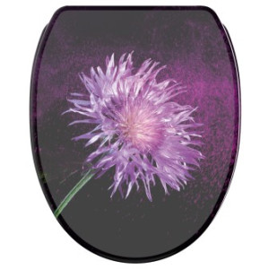 WCShop24 WC-Sitz mit Absenkautomatik und Schnellverschluss Purple Dust - Premium Toilettendeckel direkt vom Hersteller