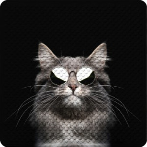WCShop24 Badematte Cool Cat 53 x 53 cm