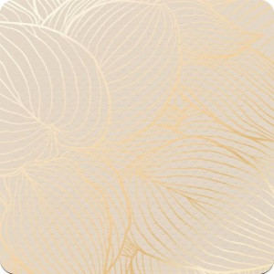 WCShop24 Badematte Hosta 53 x 53 cm