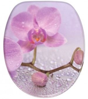 WCShop24 WC-Sitz Blooming - Premium Toilettendeckel direkt vom Hersteller