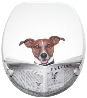 WCShop24 WC-Sitz Newspaper - Premium Toilettendeckel direkt vom Hersteller