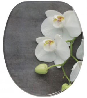 WCShop24 WC-Sitz Pretty - Premium Toilettendeckel direkt vom Hersteller