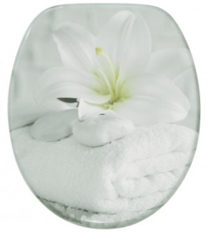 WCShop24 WC-Sitz Good Feeling - Premium Toilettendeckel direkt vom Hersteller