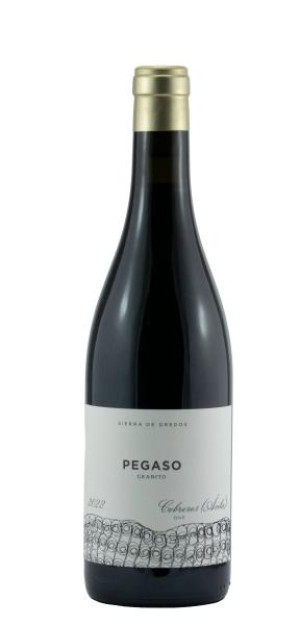 Telmo Rodriguez - Pegaso Granito - 2022 - (0.75l)