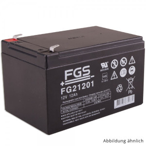 Notstrom-Akkumulator 12V/12Ah VDS