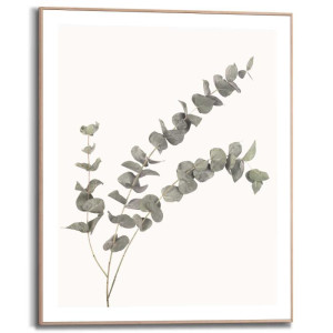 Wandbild EUCALYPTUS Slim Frame Wood ca. 40x50 cm SMF84843 | 1
