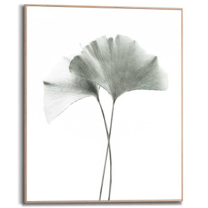 Wandbild GINKGO Slim Frame Wood ca. 40x50 cm SMF86321 | 1